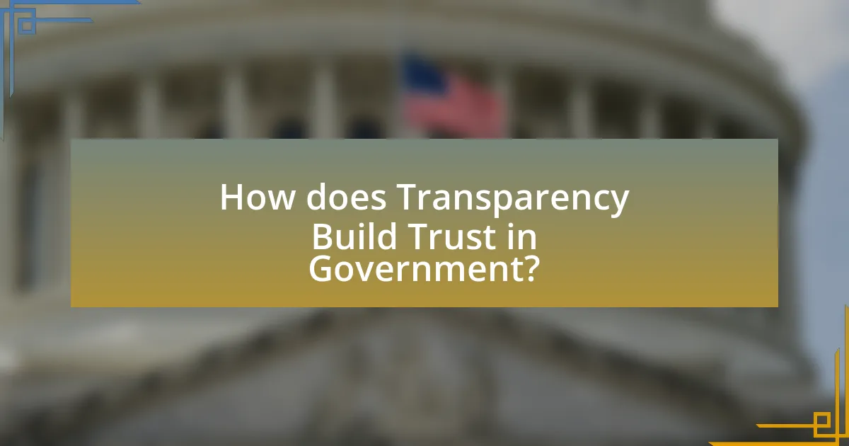 How does Transparency Build Trust in Government?