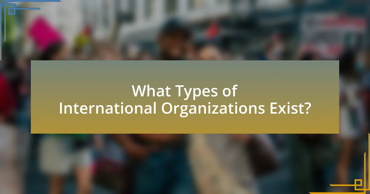 What Types of International Organizations Exist?