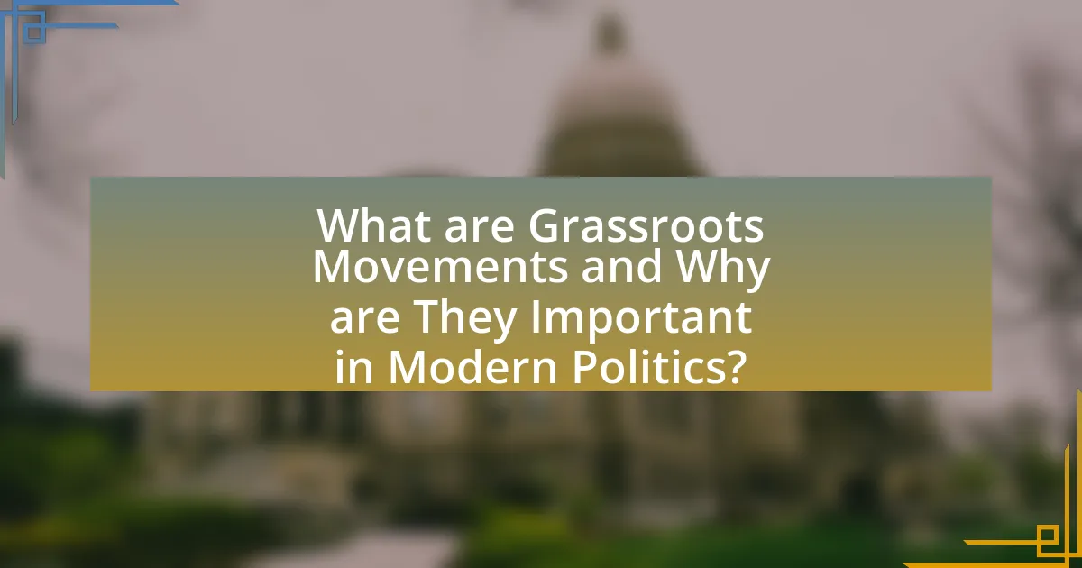 What are Grassroots Movements and Why are They Important in Modern Politics?