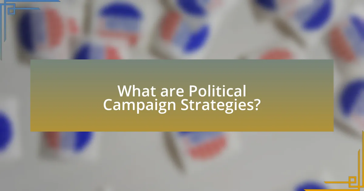 What are Political Campaign Strategies?