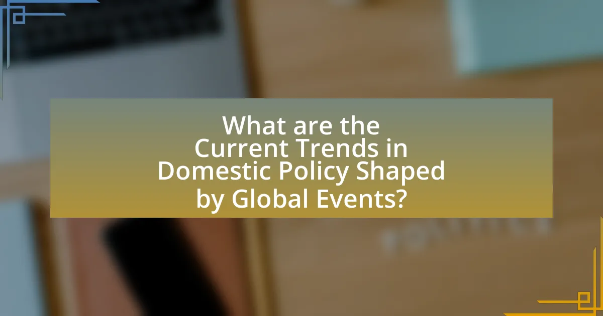 What are the Current Trends in Domestic Policy Shaped by Global Events?