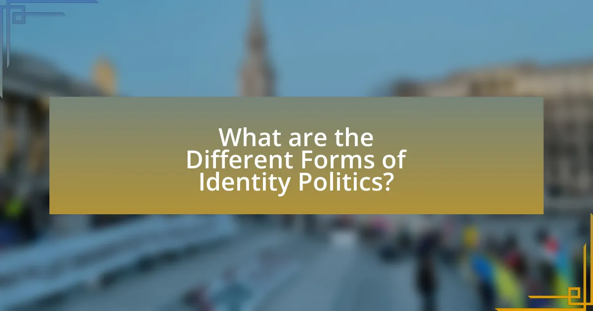 What are the Different Forms of Identity Politics?