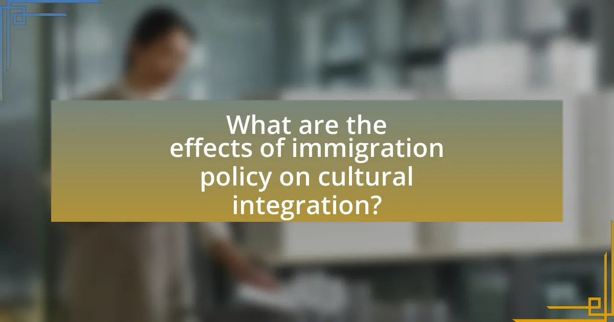 What are the effects of immigration policy on cultural integration?