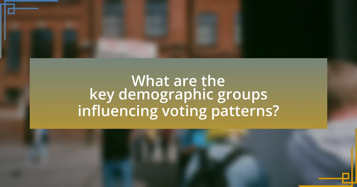 What are the key demographic groups influencing voting patterns?