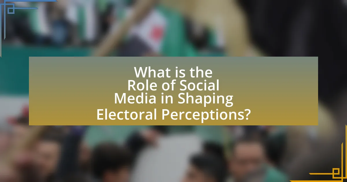 What is the Role of Social Media in Shaping Electoral Perceptions?